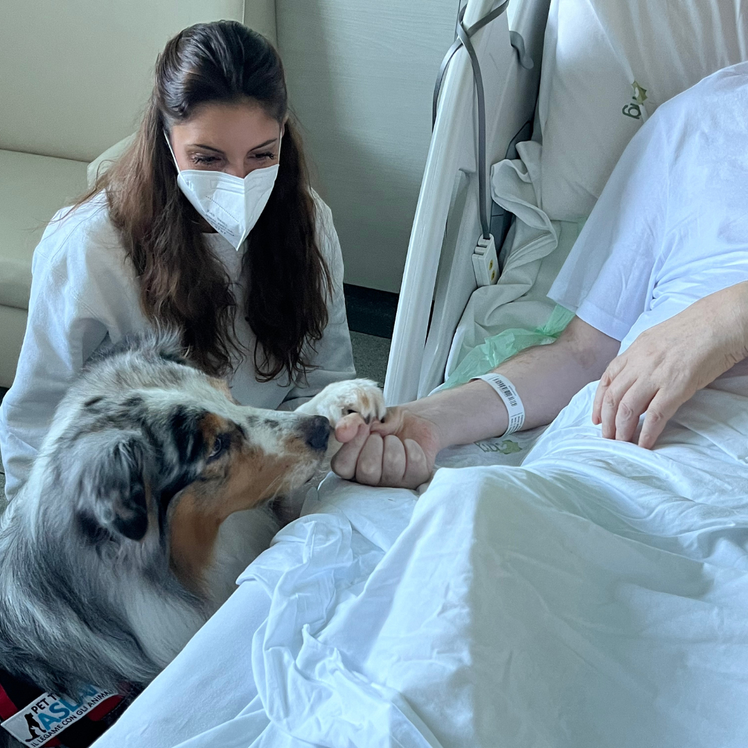 Immagine di cane utilizzato per Pet therapy con paziente dell'Hospice