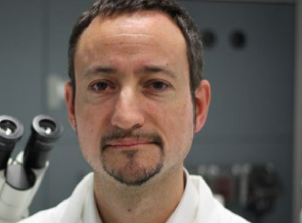 Professor Enrico Giraudo, Direttore del Laboratorio del Microambiente Tumorale e Terapia Anti-angiogenica Istituto di Candiolo - IRCCS