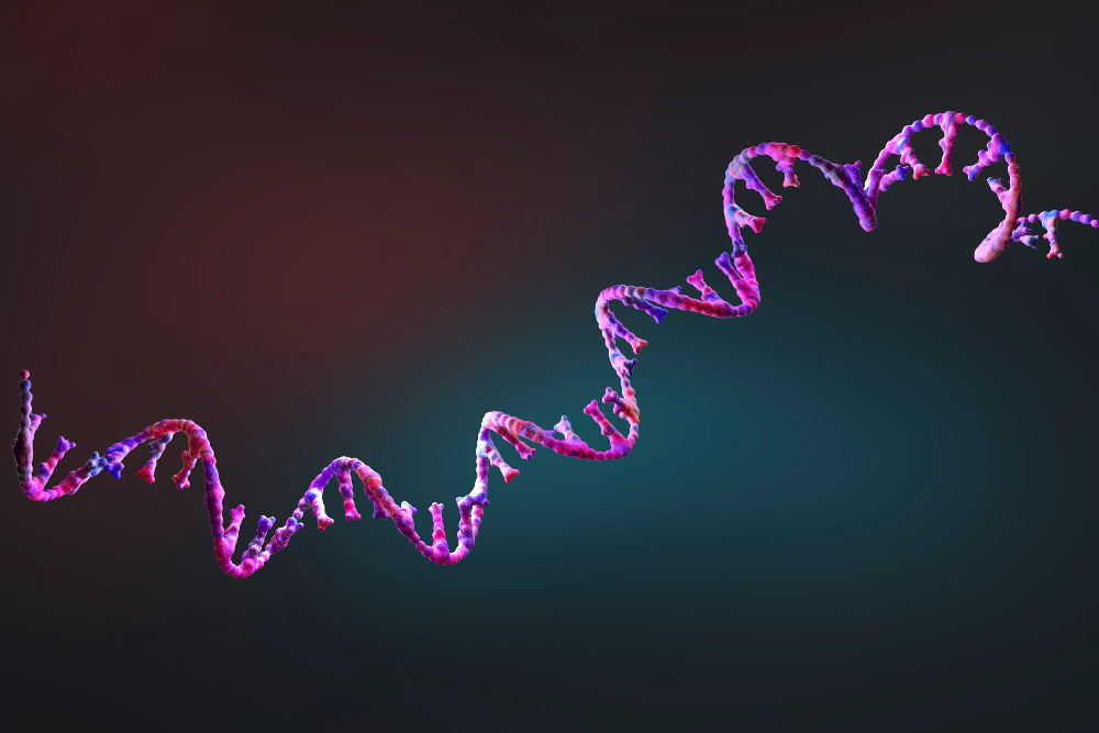 Studio sul rischio genetico tumore